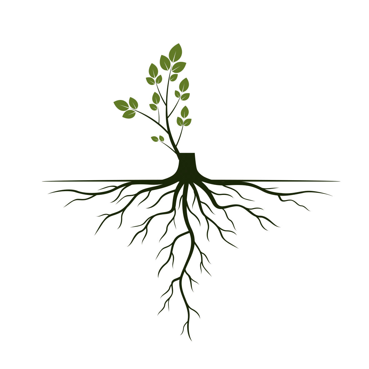 6 Ways to Deepen Your Roots of Integrity at Work: - EQIQ Leadership